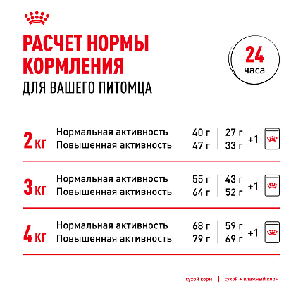 Royal Canin Yorkshire Terrier Adult Корм сухой для взрослых собак породы Йоркширский Терьер от 10 месяцев, 3 кг